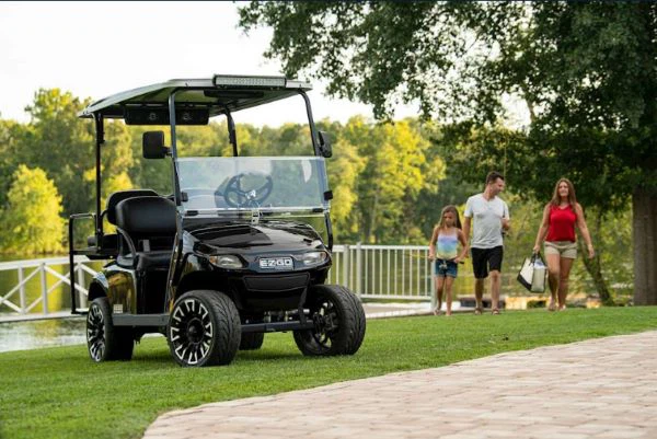 Batteria da golf cart